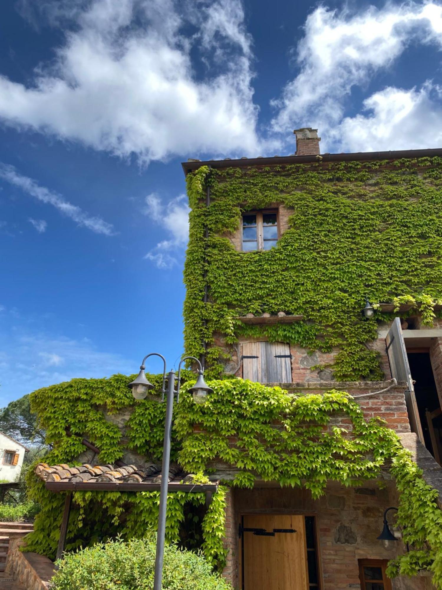 Agriturismo Borgo 7 Tigli - Apt 1 Montepulciano Ngoại thất bức ảnh